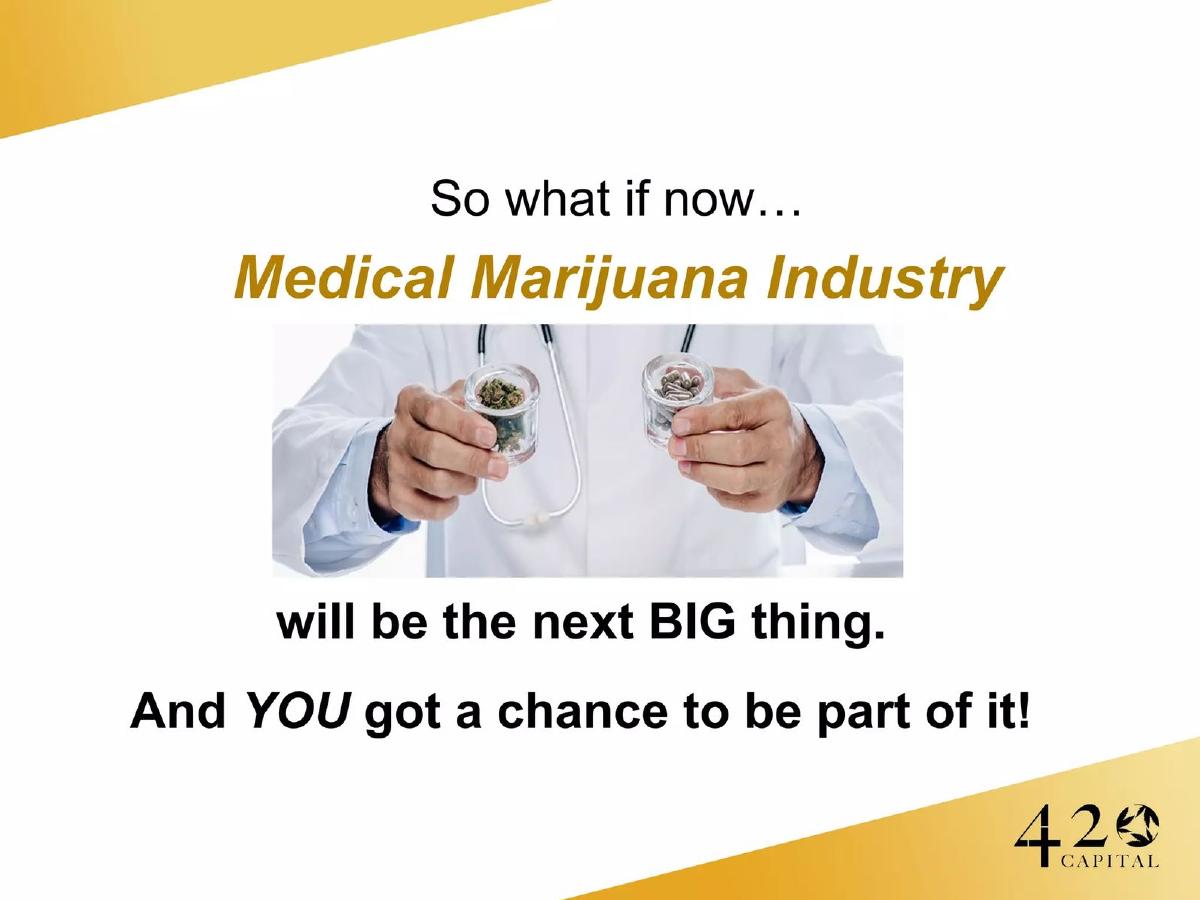 420 Capital pitch deck slide 5 of 24