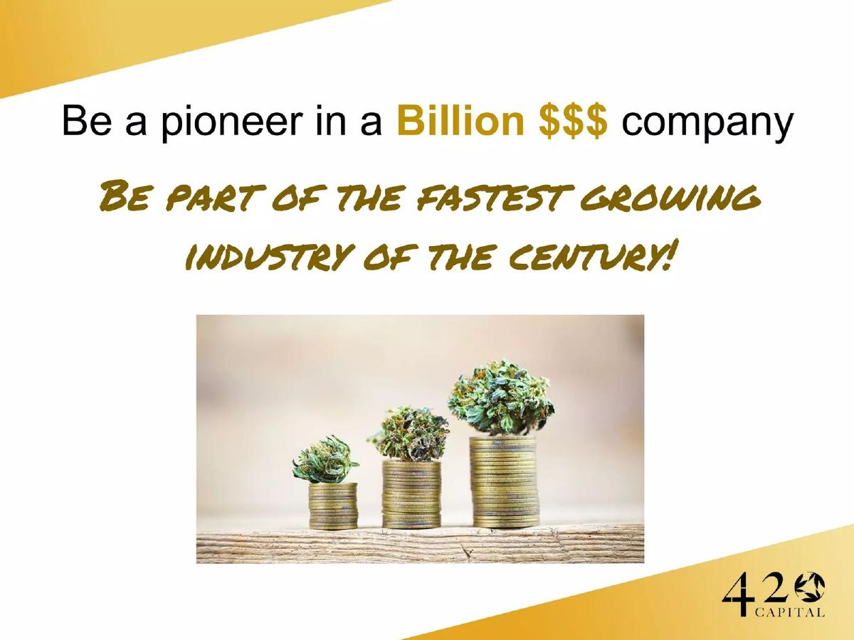 420 Capital pitch deck slide 6 of 24