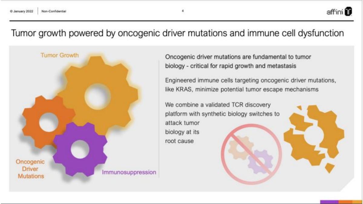 Affini-T pitch deck slide 4 of 25