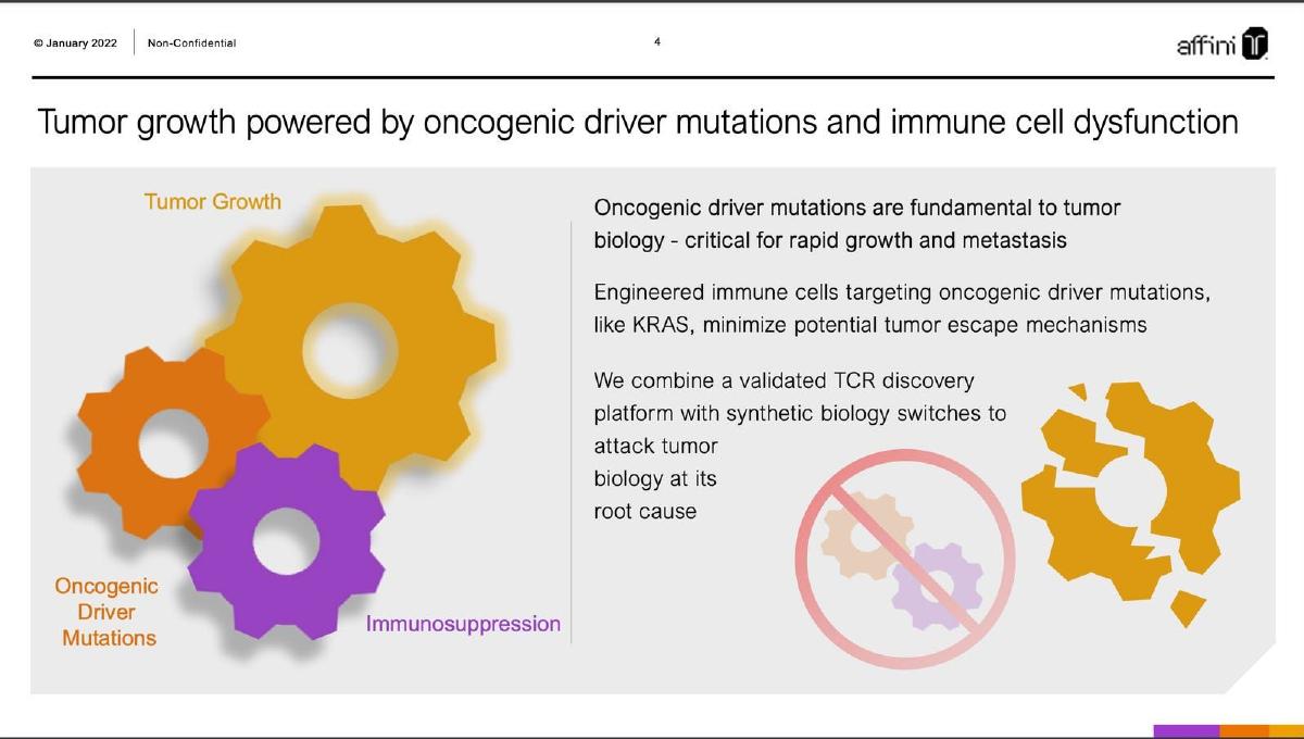 Affini-T Therapeutics pitch deck slide 4 of 24