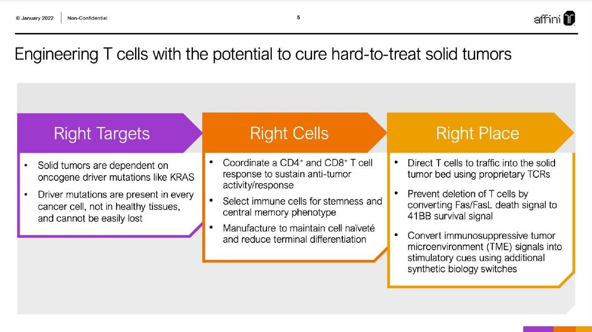 Affini-T Therapeutics pitch deck slide 5 of 24