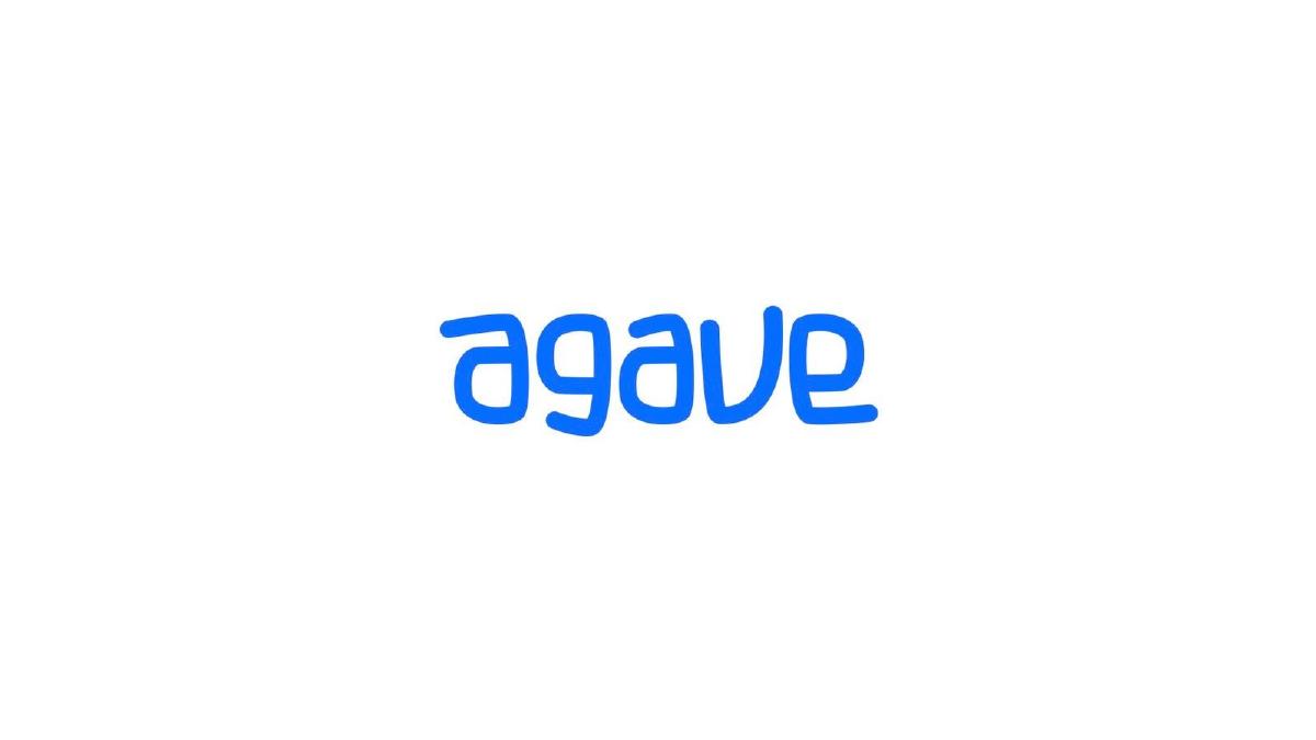 Agave Games pitch deck slide 1 of 8