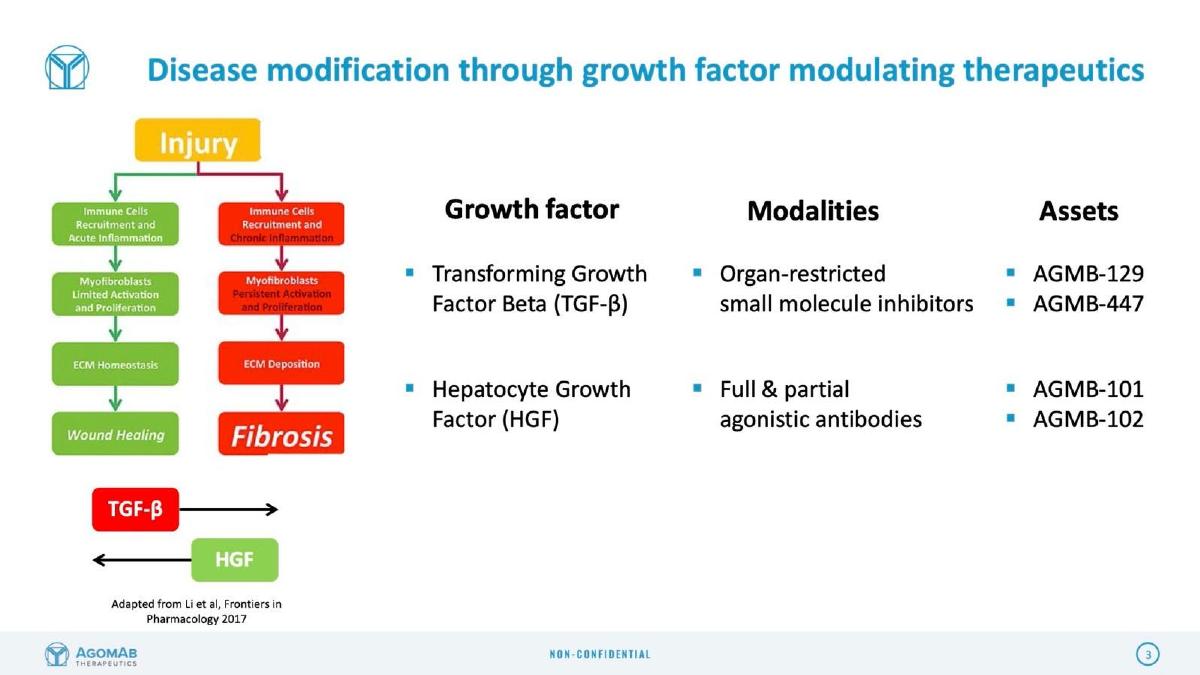 AgomAb Therapeutics pitch deck slide 3 of 21