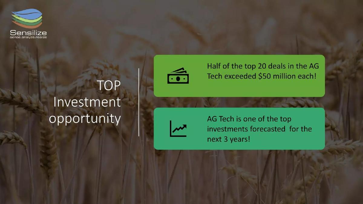 Sensilize pitch deck slide 3 of 26