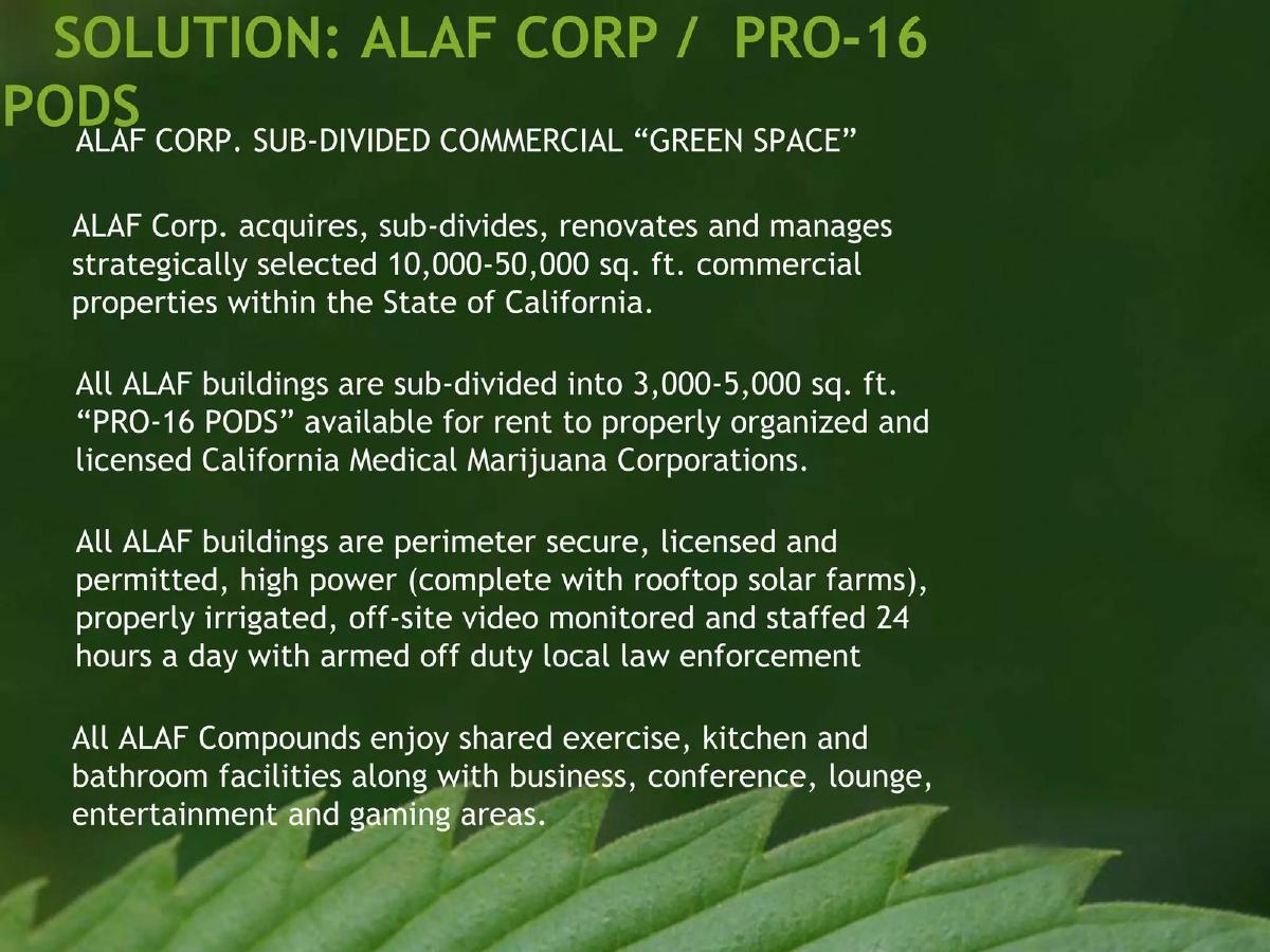 ALAF Corp pitch deck slide 4 of 15
