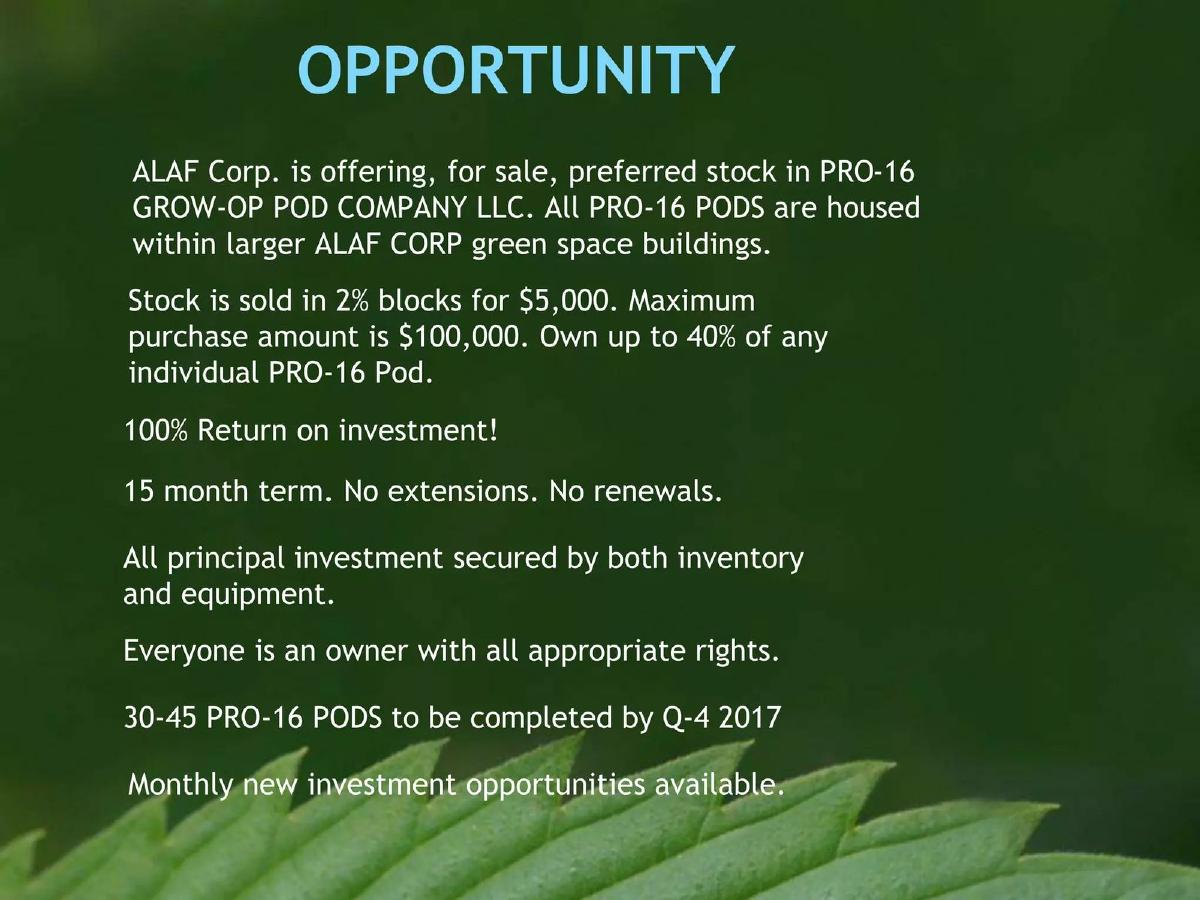 ALAF Corp pitch deck slide 6 of 15