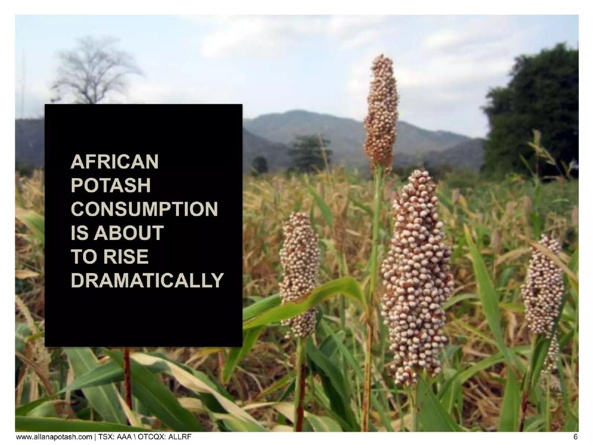 Allana Potash pitch deck slide 6 of 15