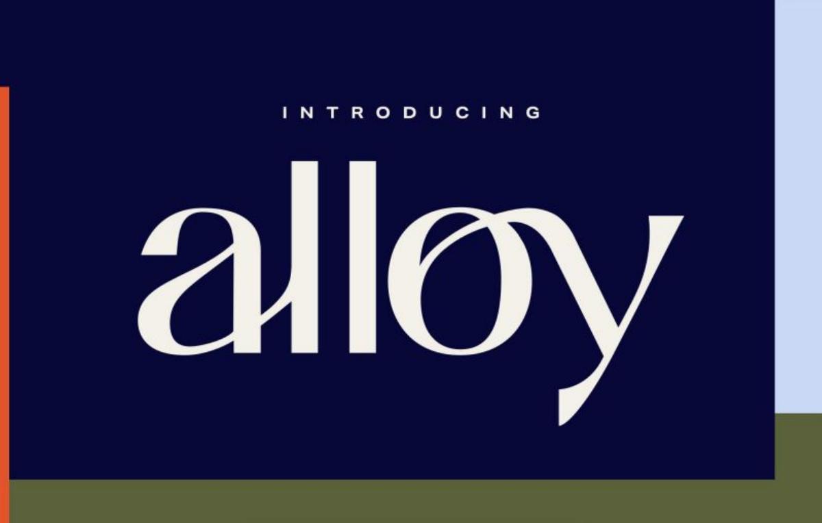 Alloy pitch deck slide 6 of 21