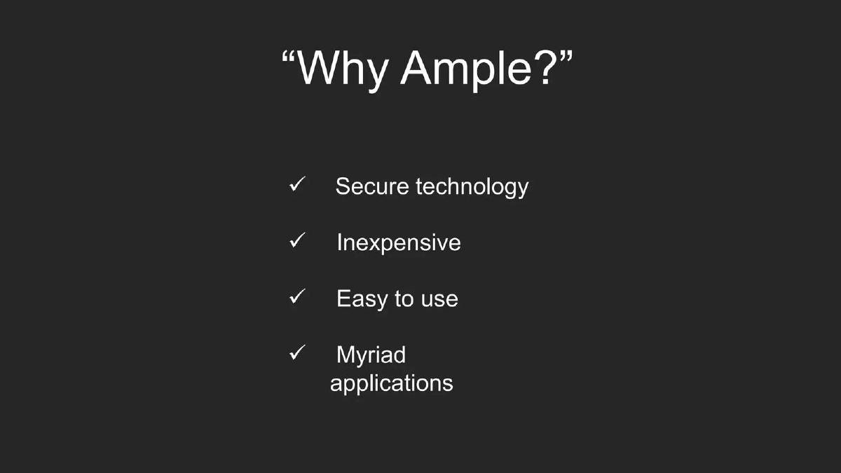 Ample pitch deck slide 6 of 13