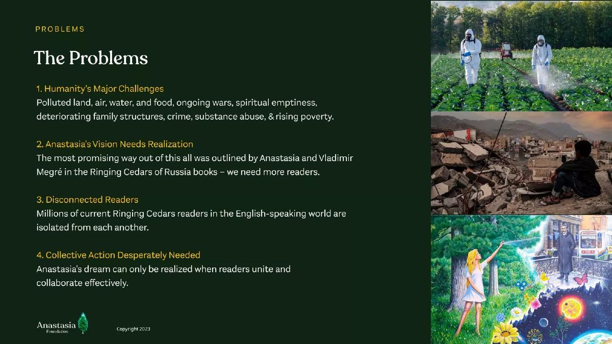 Anastasia Foundation pitch deck slide 2 of 17