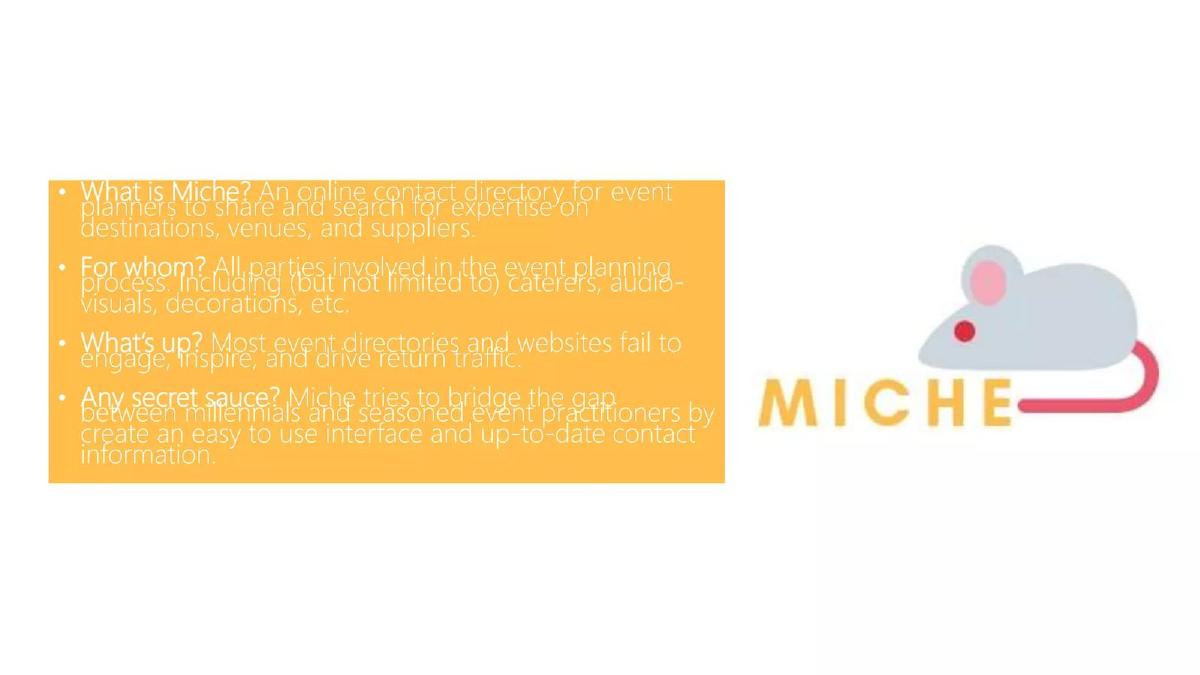 Miche pitch deck slide 3 of 9