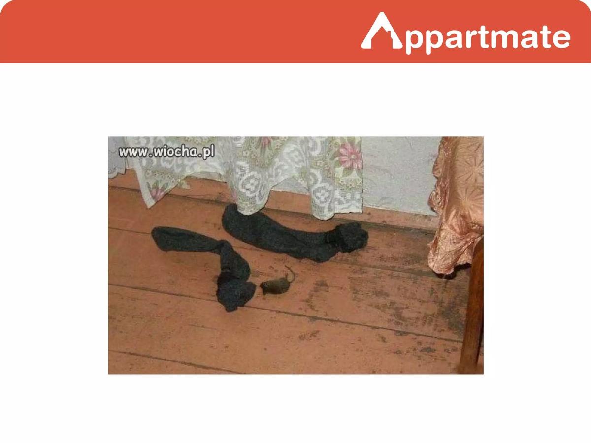 Appartmate pitch deck slide 2 of 10