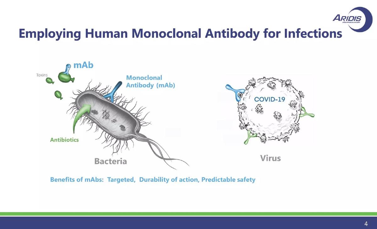 Aridis Pharmaceuticals pitch deck slide 4 of 30
