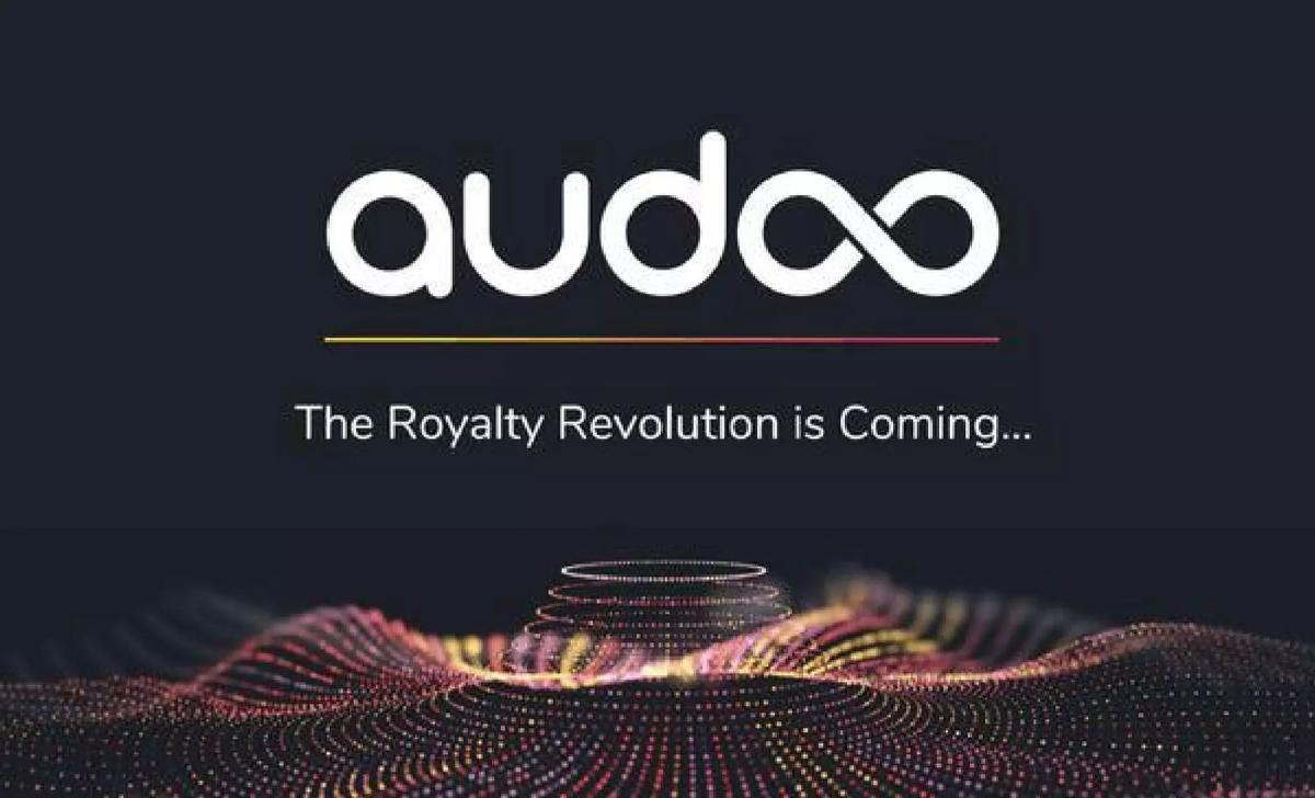 Audoo pitch deck slide 1 of 8