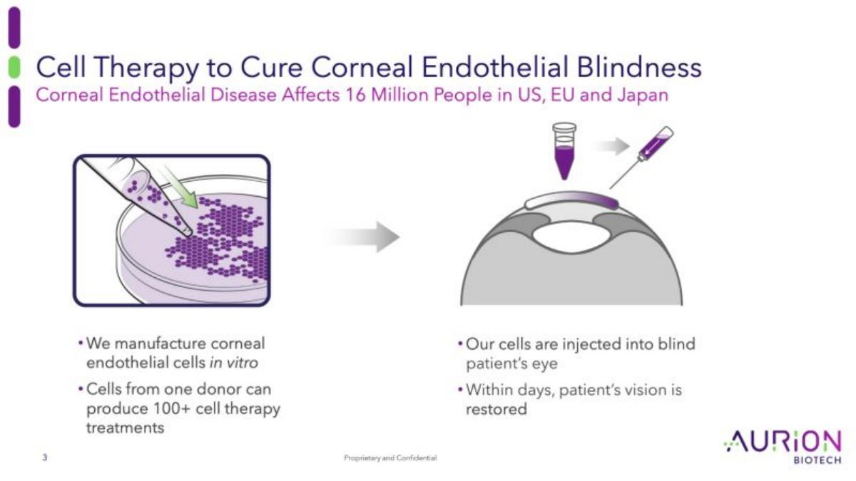 Aurion Biotech pitch deck slide 3 of 25