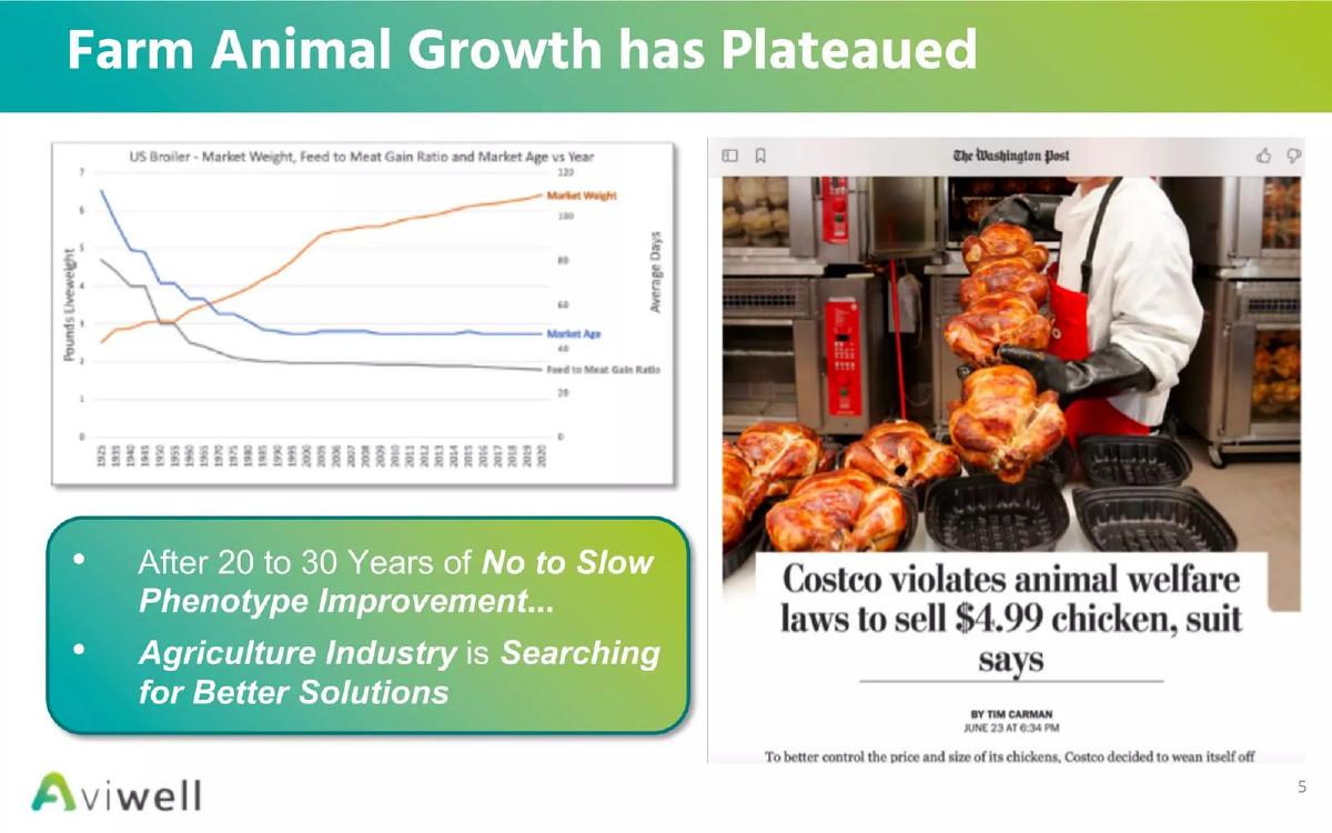 Aviwell pitch deck slide 5 of 18