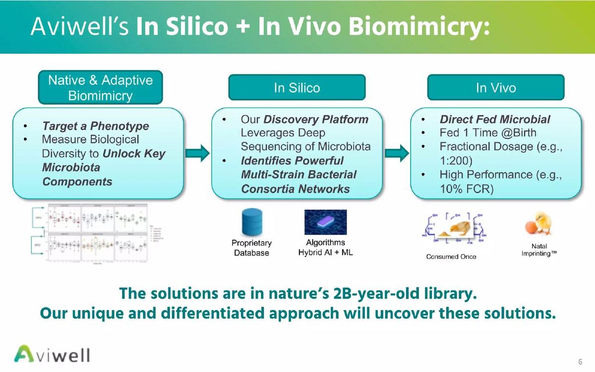 Aviwell pitch deck slide 6 of 18
