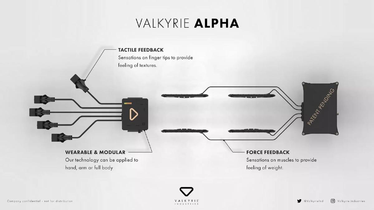 Valkyrie Industries Ltd pitch deck slide 5 of 19