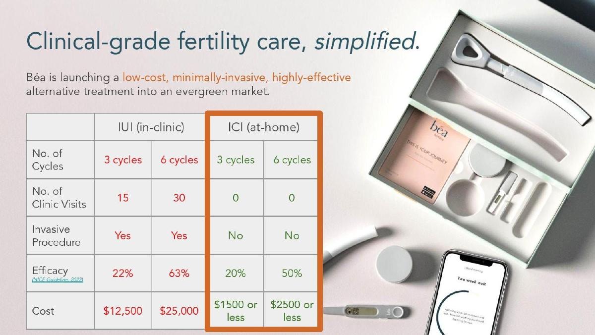 Béa Fertility pitch deck slide 6 of 9