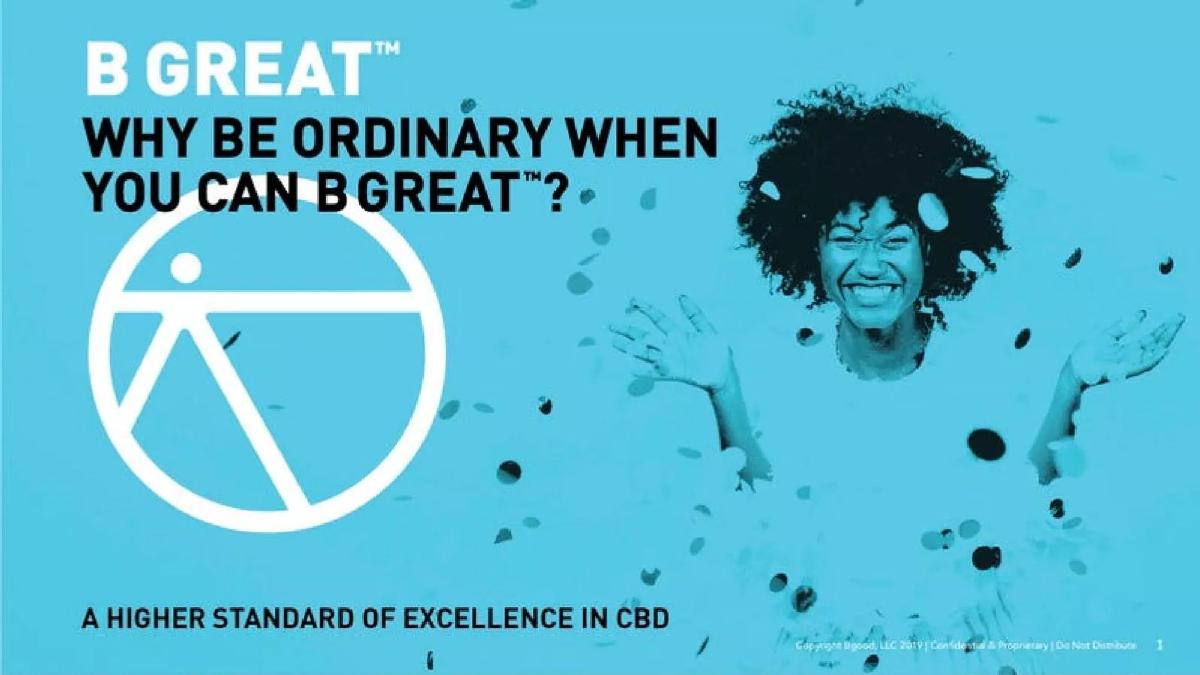 B Great pitch deck slide 1 of 30