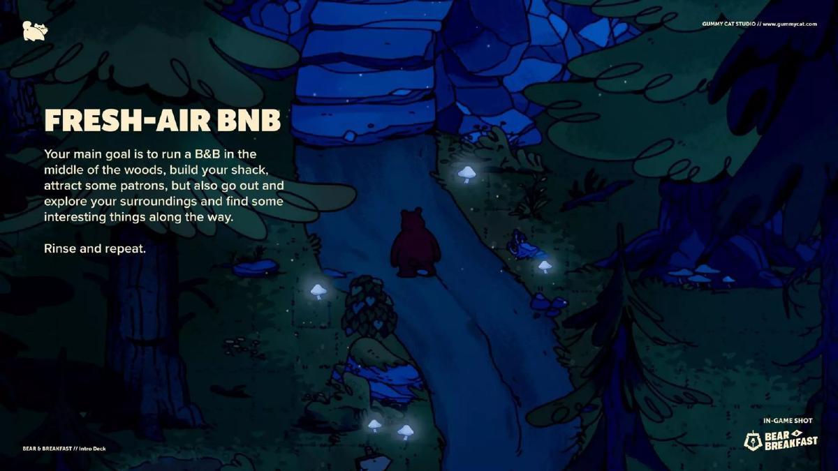 Gummy Cat Studio pitch deck slide 6 of 24