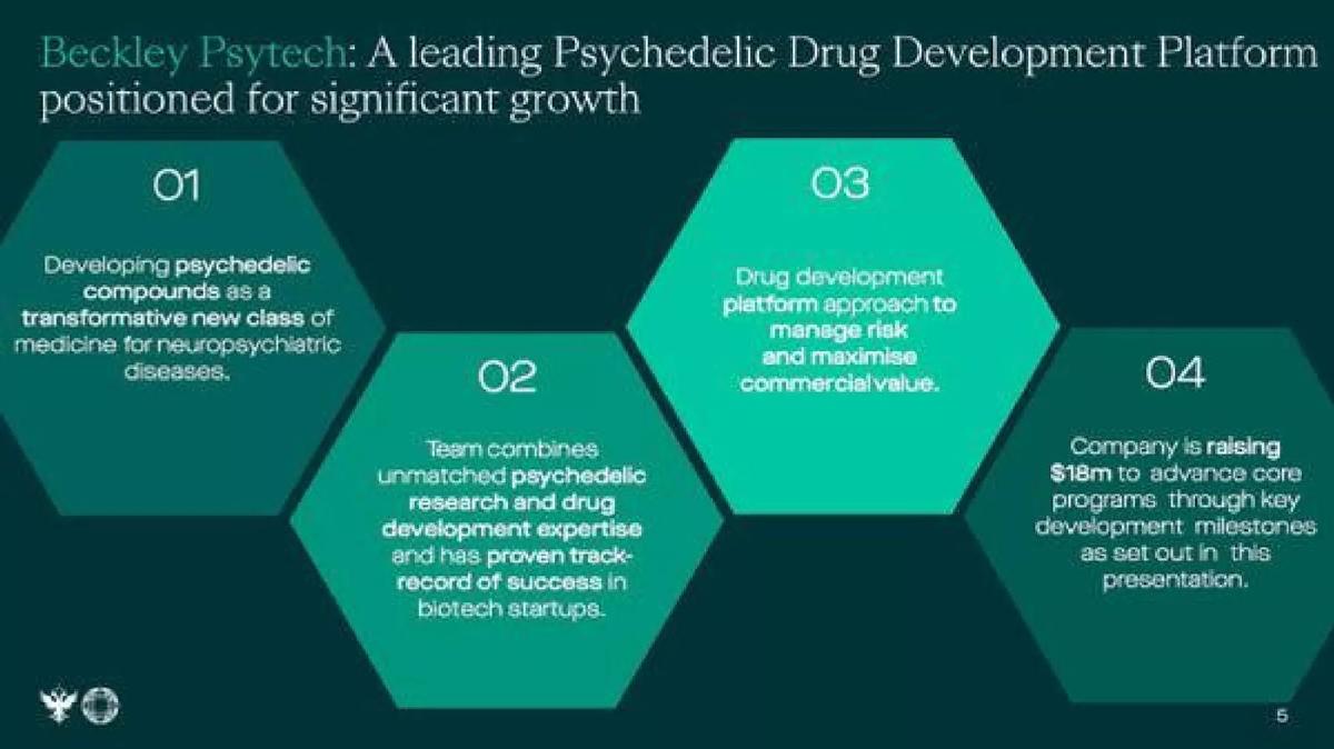 Beckley Psytech pitch deck slide 5 of 22