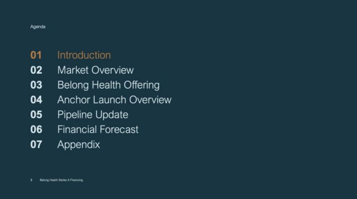 Belong Health pitch deck slide 3 of 30