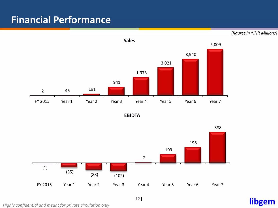Libgem pitch deck Financial chart currency and unit label slide 12