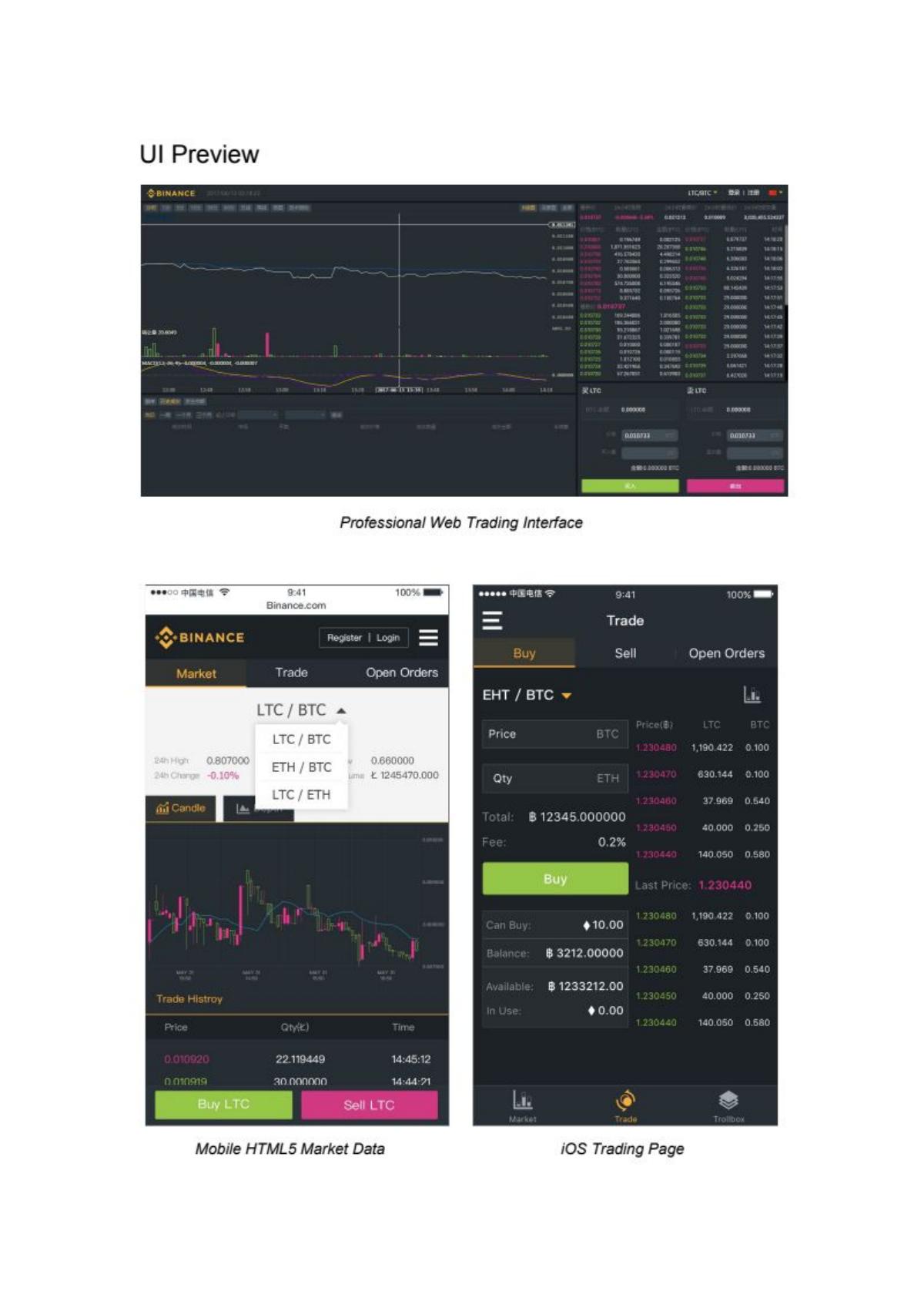 Binance pitch deck slide 6 of 17