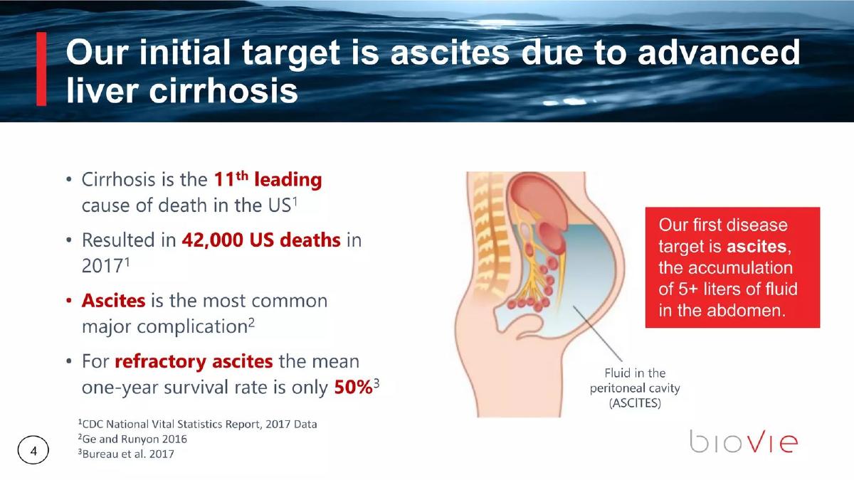 BioVie pitch deck slide 4 of 28