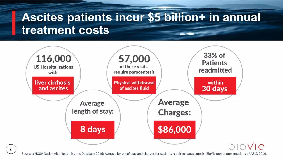 BioVie pitch deck slide 6 of 28