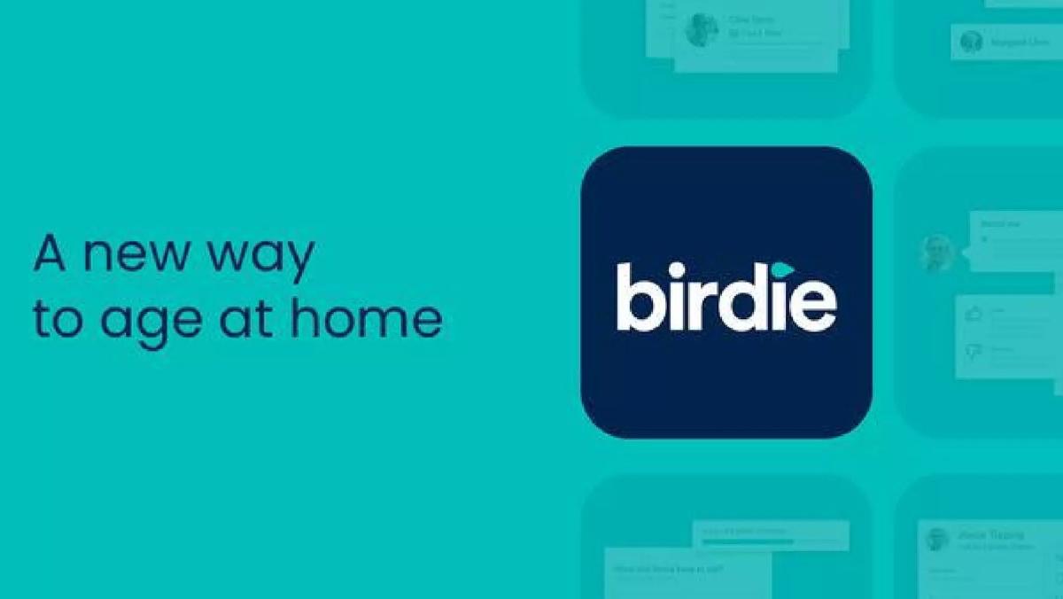 Birdie pitch deck slide 1 of 9