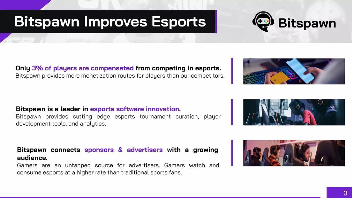 Bitspawn pitch deck slide 3 of 21