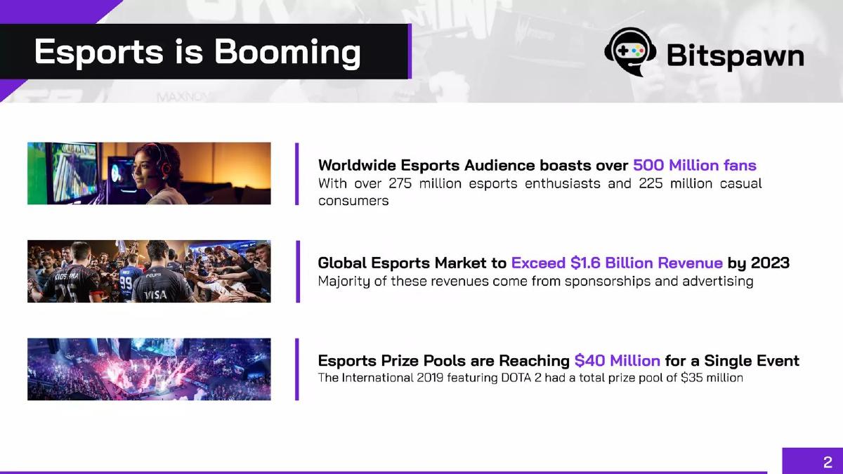 Bitspawn pitch deck slide 2 of 21
