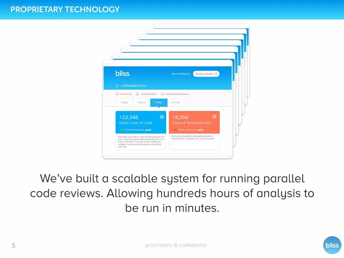 Bliss pitch deck slide 5 of 14