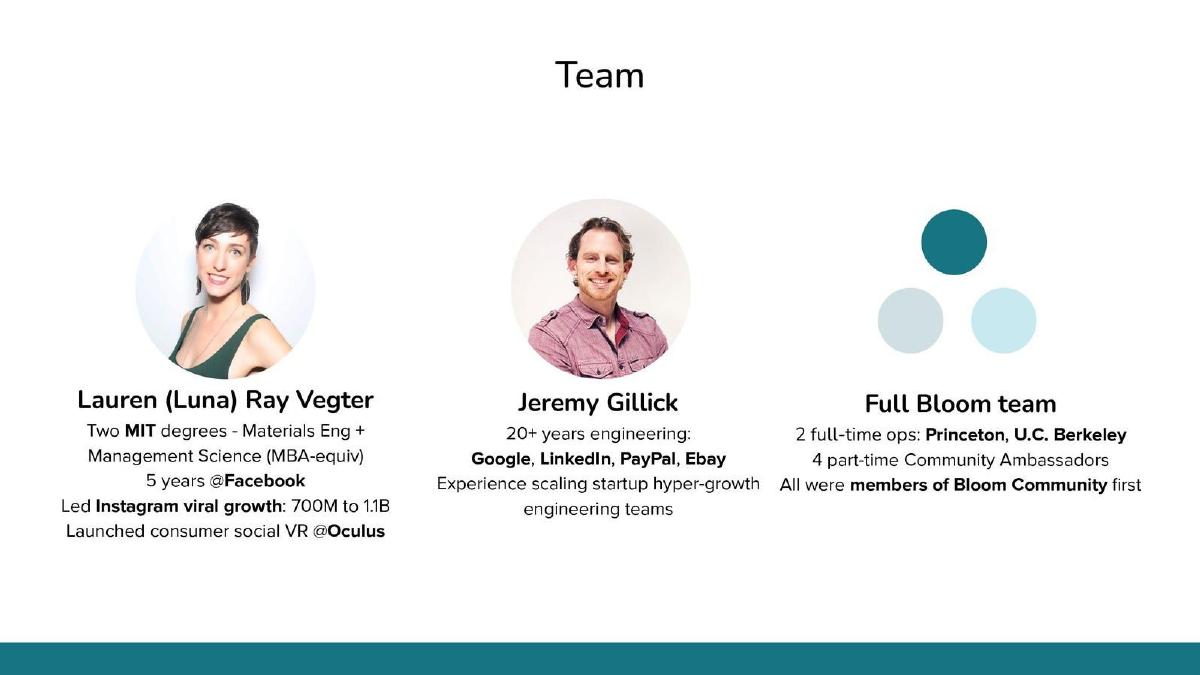 Bloom Community pitch deck slide 2 of 14