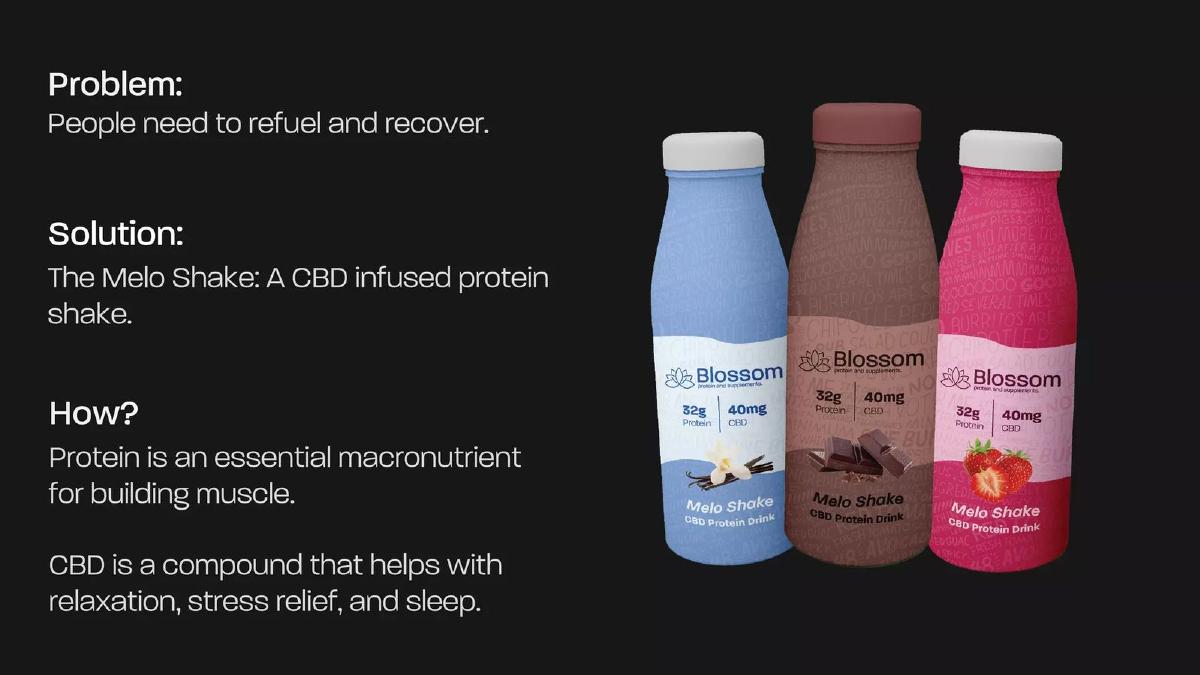 Blossom Protein pitch deck slide 2 of 14