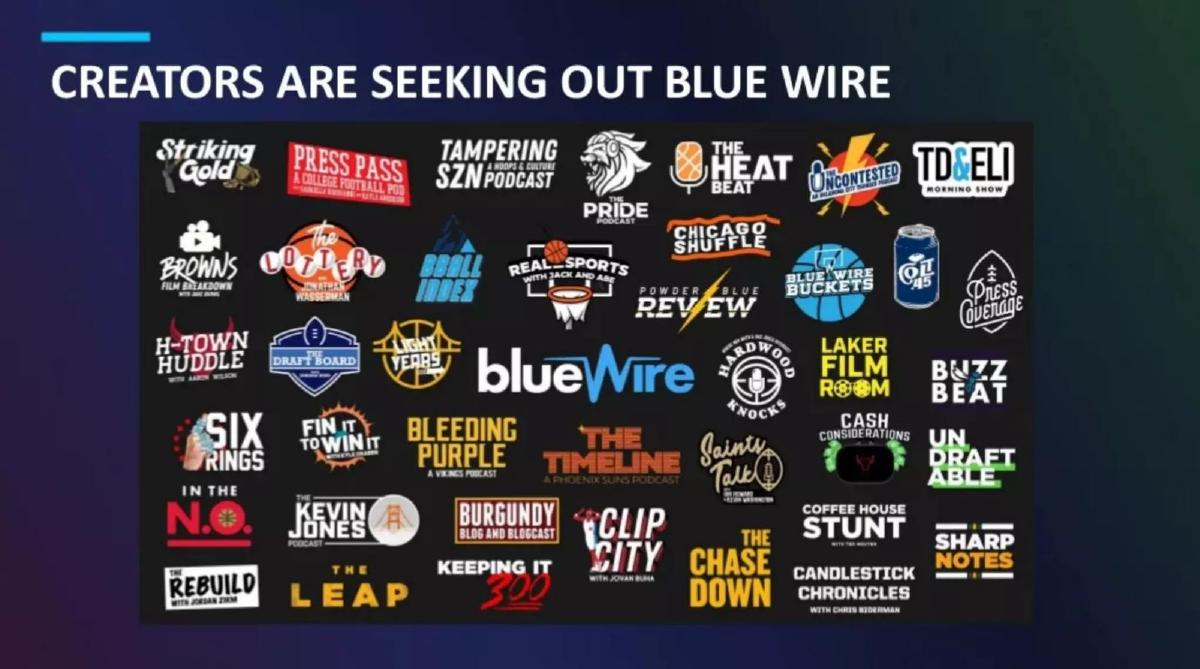 Blue Wire pitch deck slide 6 of 9