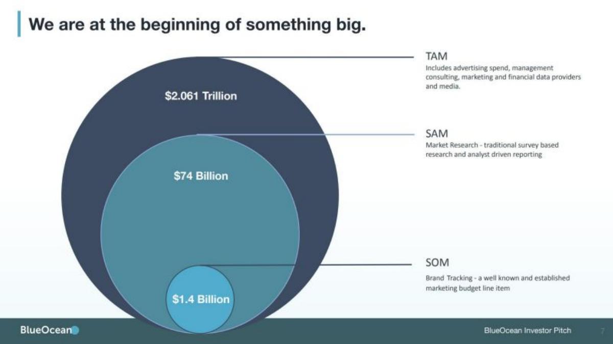 BlueOcean pitch deck slide 6 of 13