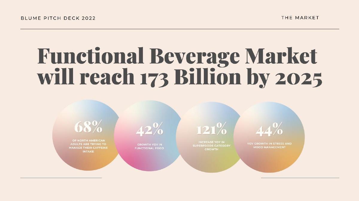 Blume pitch deck slide 6 of 13