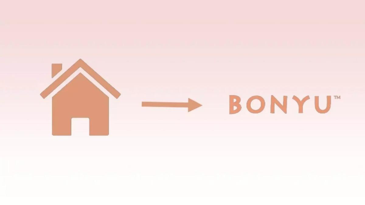 Bonyu pitch deck slide 5 of 14
