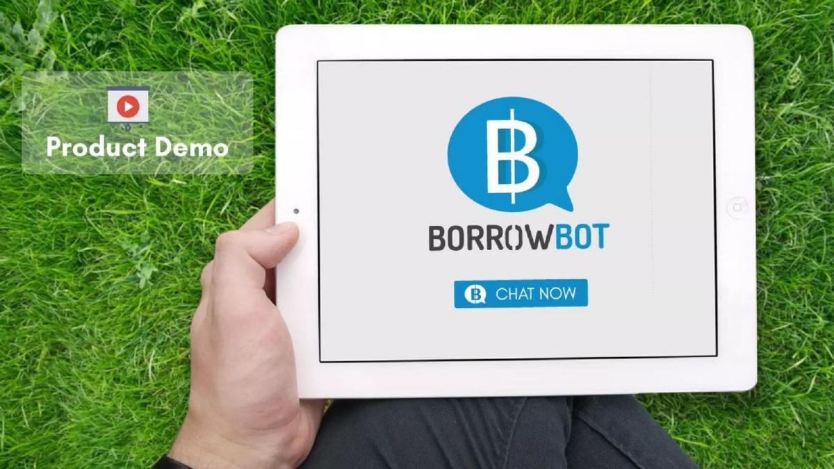 BorrowBot pitch deck slide 5 of 12
