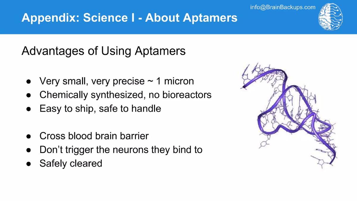 Brain Backups pitch deck Appendix slide slide 16