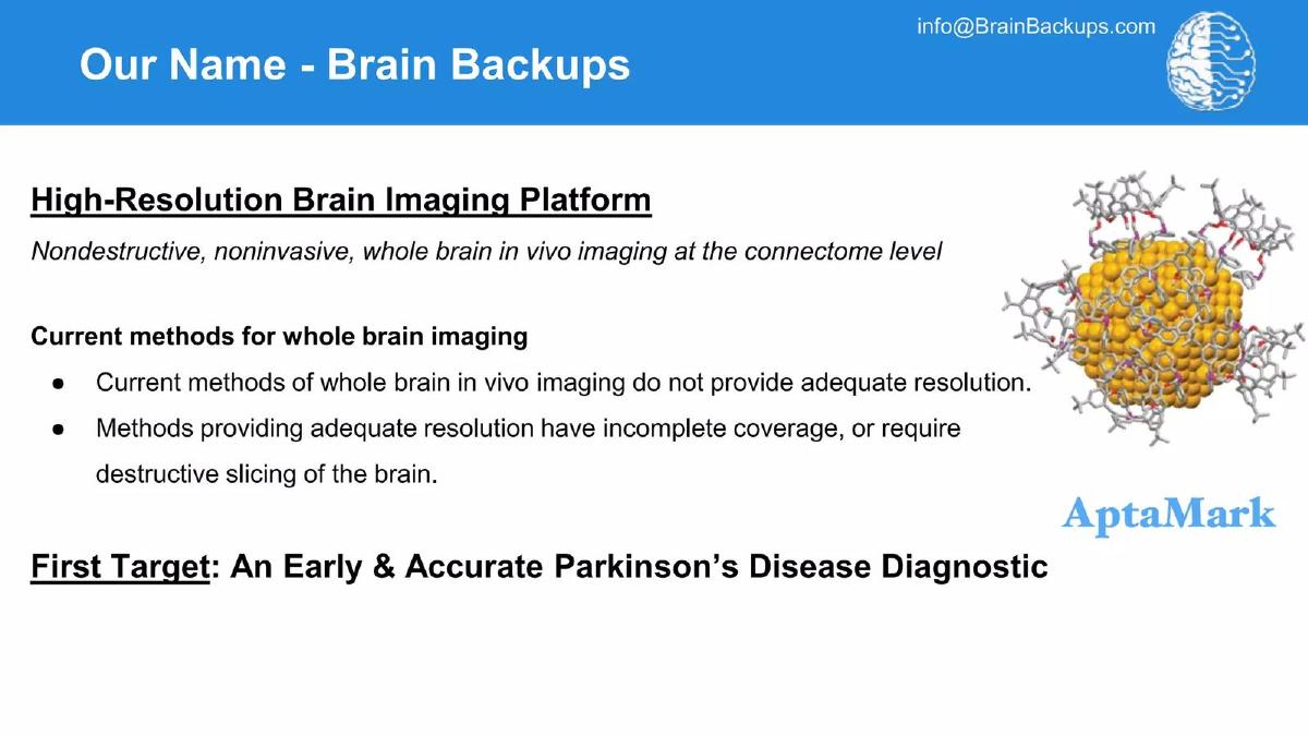 Brain Backups pitch deck slide 2 of 18