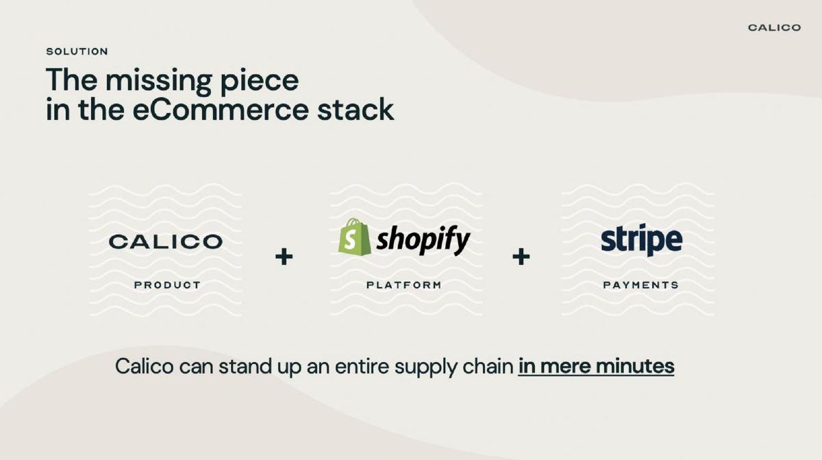 Calico pitch deck slide 3 of 6