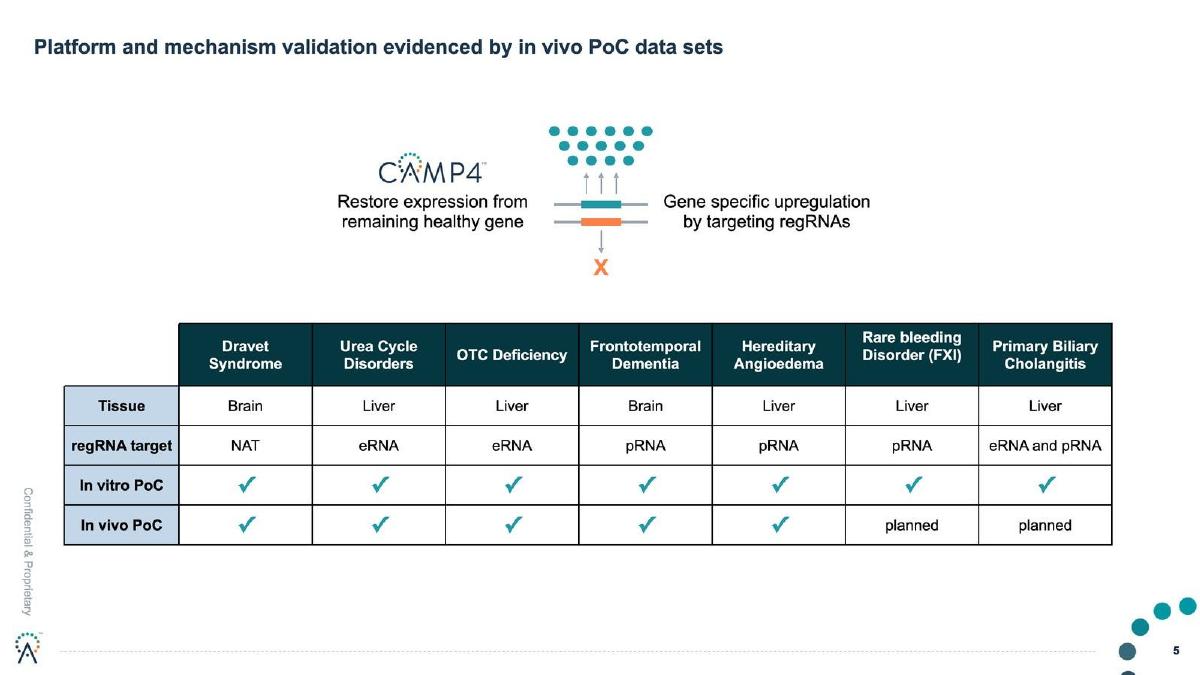 CAMP4 Therapeutics pitch deck slide 5 of 18