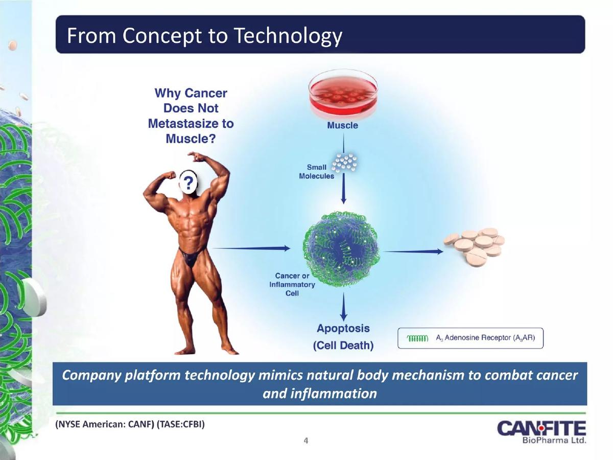 Can-Fite BioPharma Ltd. pitch deck slide 4 of 17