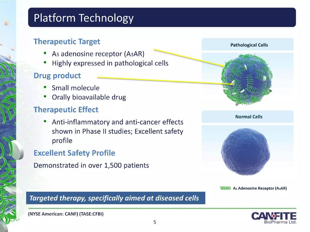 Can-Fite BioPharma Ltd. pitch deck slide 5 of 17