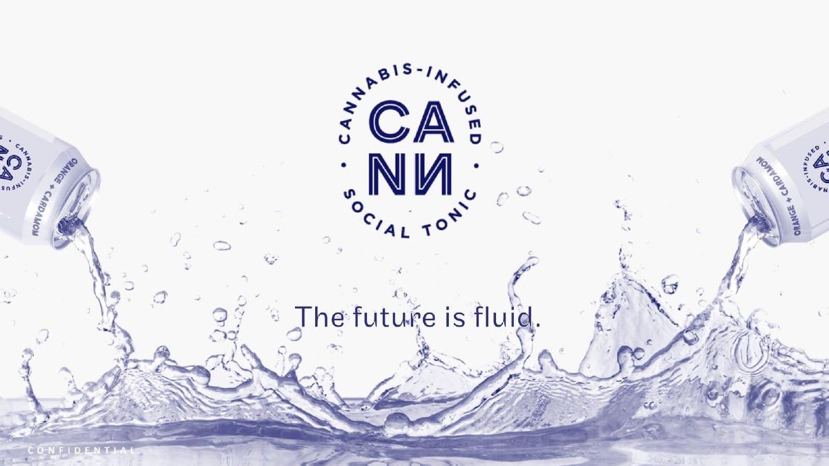 Cann pitch deck slide 1 of 14