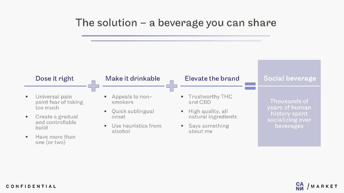 Cann pitch deck slide 5 of 14